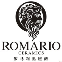 陶瓷百強品牌之一