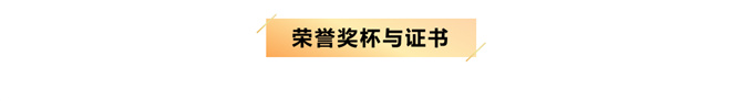 101086392_榮譽(yù)獎(jiǎng)杯證書(shū).jpg
